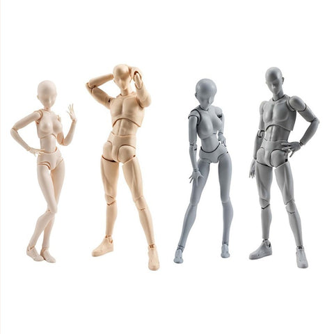Body Kun / Body Chan : Costomizable Super Articulated Artist Model Action Figures (Anime Styled)